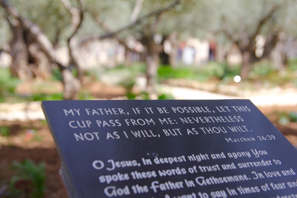 Garden of Olives 1