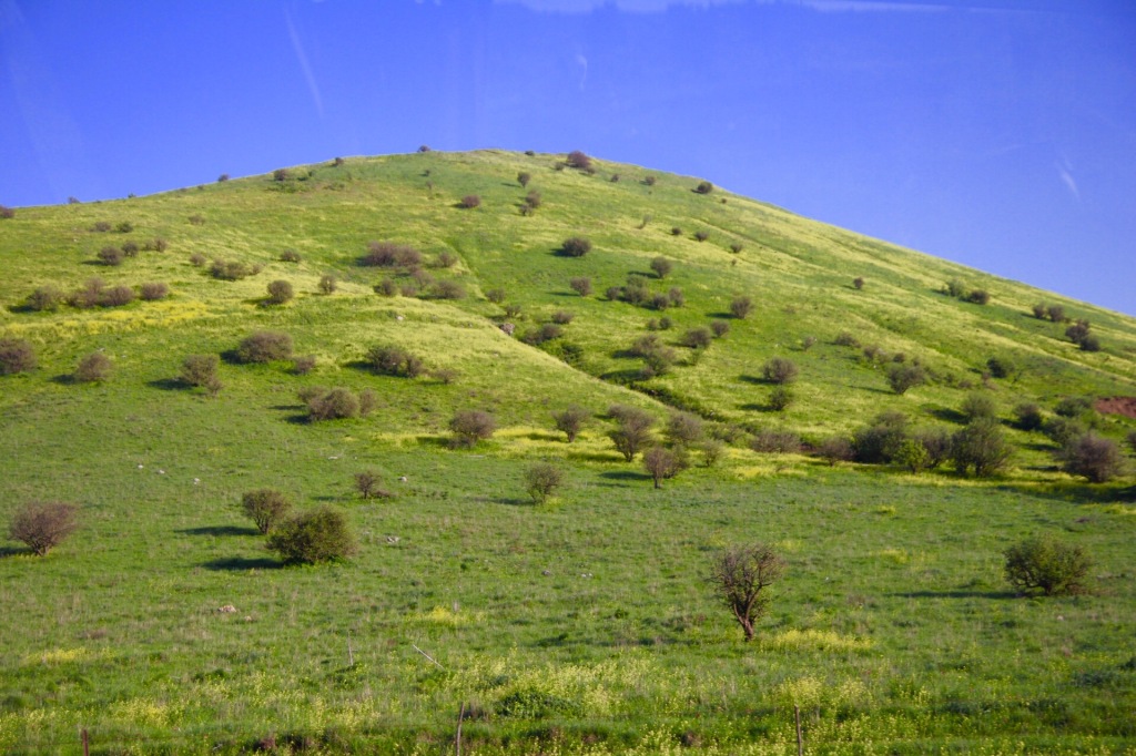 Golan Heights hill