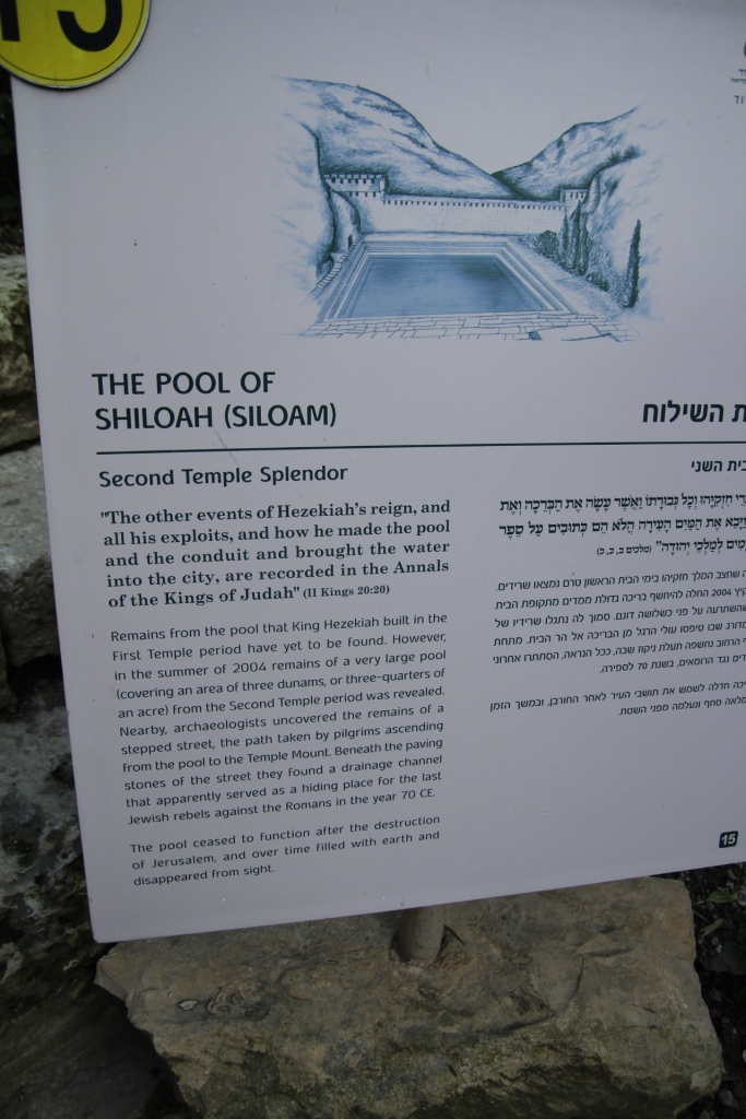 Pool of Shiloah Info